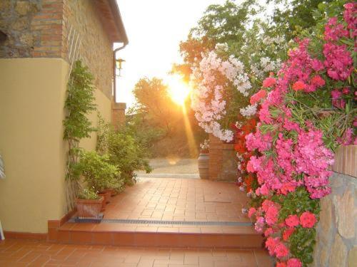 Villa Agriturismo Il Colombaiolo à Pienza Extérieur photo