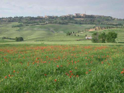 Villa Agriturismo Il Colombaiolo à Pienza Extérieur photo