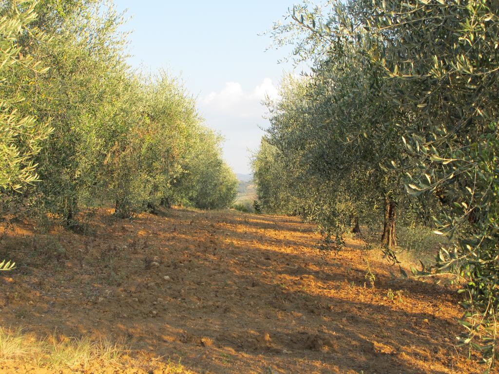 Villa Agriturismo Il Colombaiolo à Pienza Extérieur photo